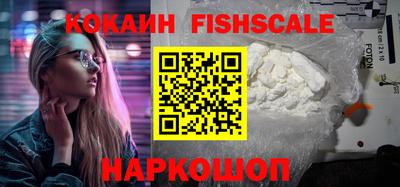 крисы Дубна