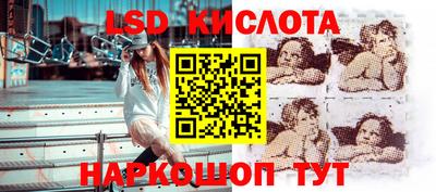крисы Дубна