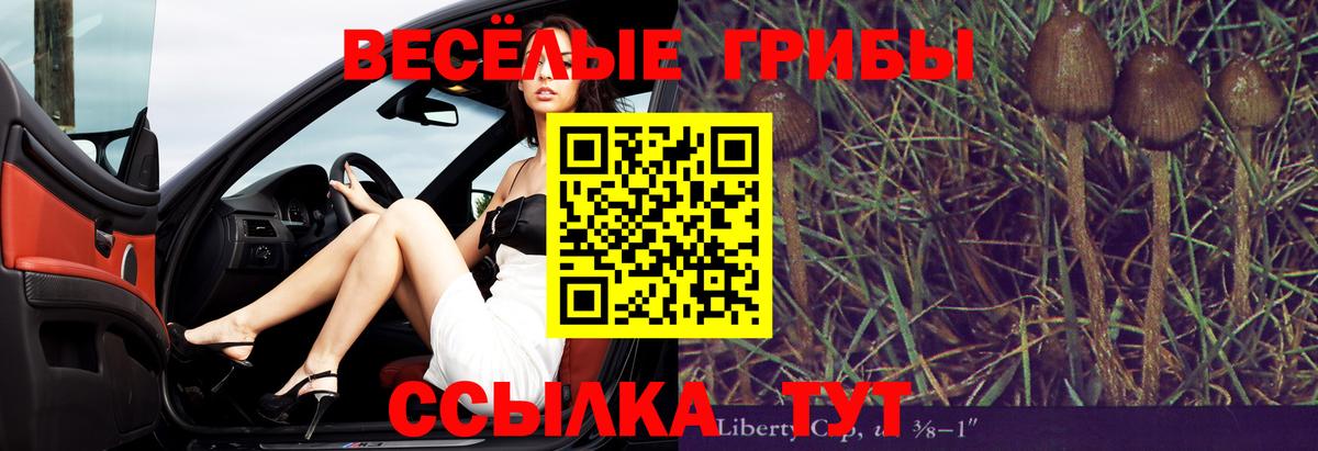 Галлюциногенные грибы прущие грибы  хочу   Наро-Фоминск  Псилоцибиновые грибы прущие грибы  Вход с VPN 